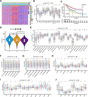 Cuproptosis-related molecular subtypes direct T cell exhaustion phenotypes and therapeutic strategies for patients with lung adenocarcinoma